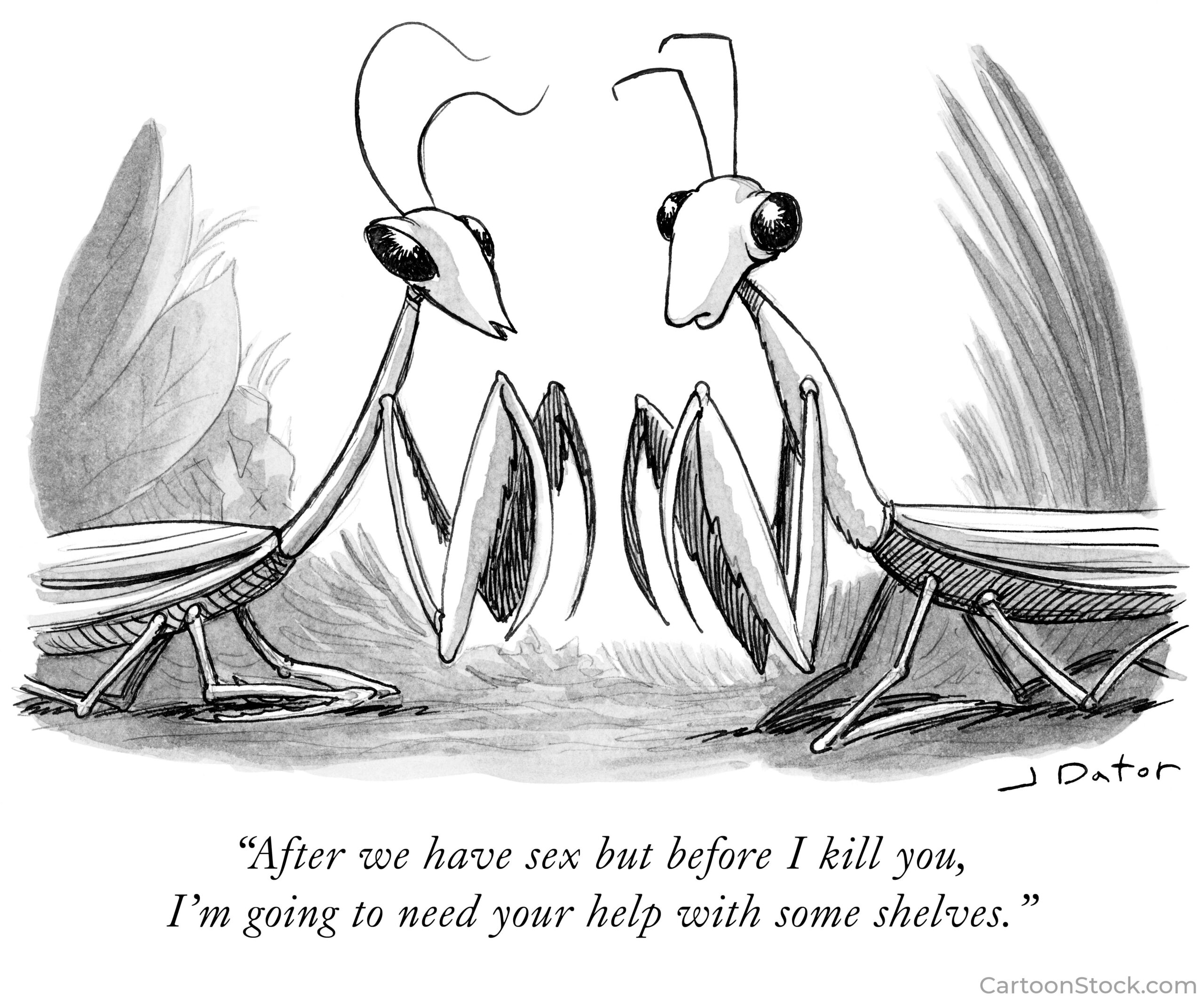 Praying mantis cartoon